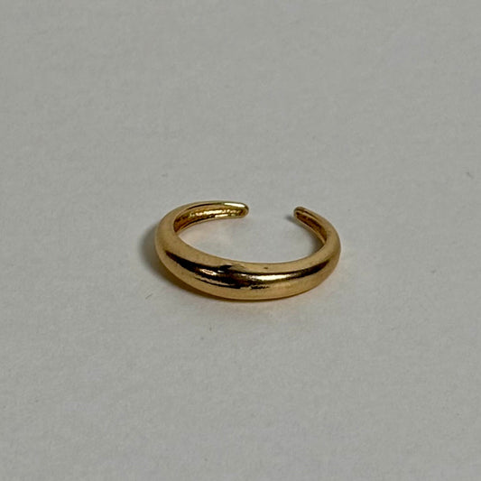 Stainless Steel Ring (Adjustable)