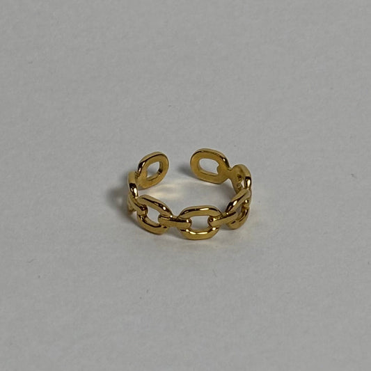 Stainless Steel Ring (Adjustable)