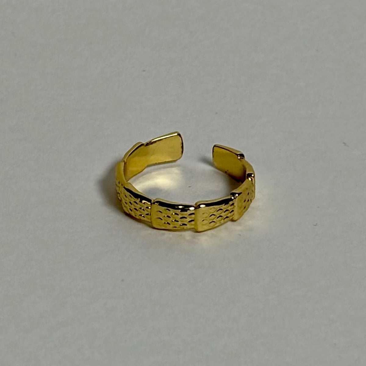 Stainless Steel Ring (Adjustable)