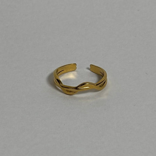 Stainless Steel Ring (Adjustable)