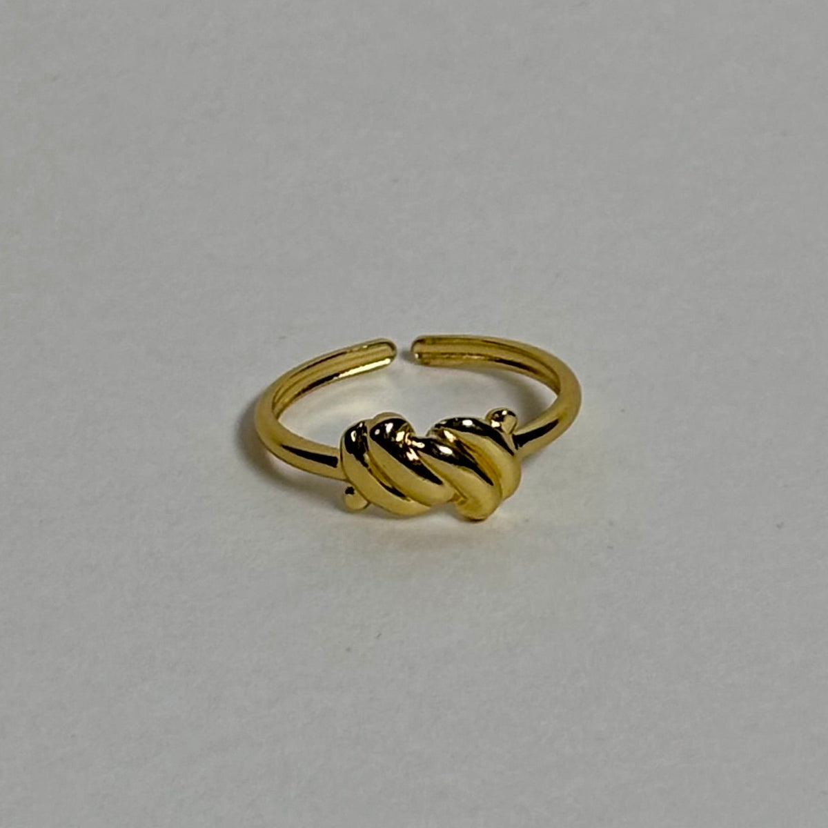 Stainless Steel Ring (Adjustable)
