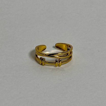 Stainless Steel Ring (Adjustable)